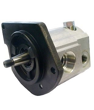 [DKWK 81 002 018 B]  Pomp 2 gaten 168 - conische as - 28 cc - Links draaien - Bosch