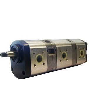 [DKWK 81 003 304 B]  Pomp 2 gaten 60,0 x 60 - conische as - 8,0 + 19,0 + 11,0 cc - Links draaien - Bosch