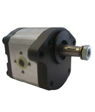 [DKWK 81 007 003 B]  Pomp 2 gaten 100,0 - conische as - 11 cc - Rechts draaien - Bosch