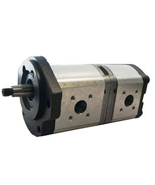 [DKWK 81 010 210 B] Pomp 2 gaten 106,4 - SAE A - conische as - 22,5 + 11,0 cc - Links draaien - Bosch