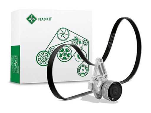 [FEAD529 4000 10] Kit multi V-riem