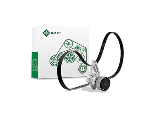 [FEAD529 4003 10] Kit multi V-riem