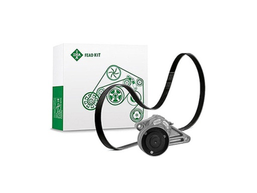 [FEAD529 4005 10] Kit multi V-riem