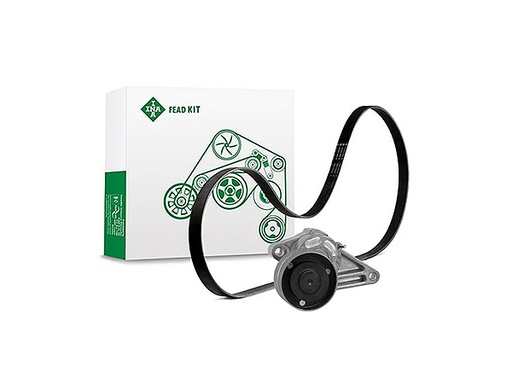 [FEAD529 4007 10] Kit multi-courroie