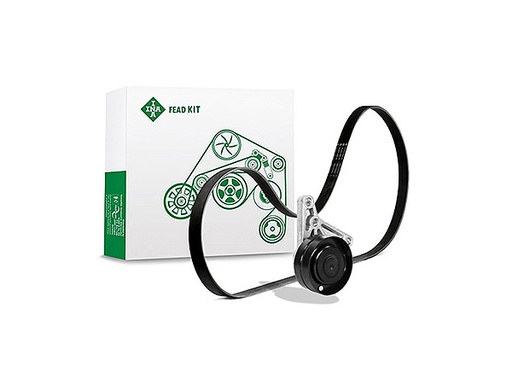 [FEAD529 4008 10] Kit multi V-riem