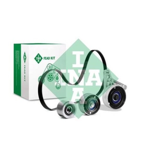 [FEAD529 4022 10] Kit multi V-riem