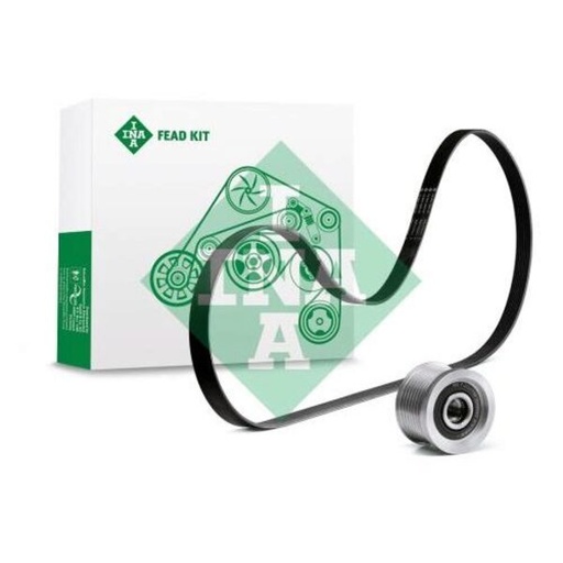 [FEAD529 4024 10] Kit multi V-riem