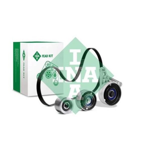 [FEAD529 4038 10] Kit multi V-riem