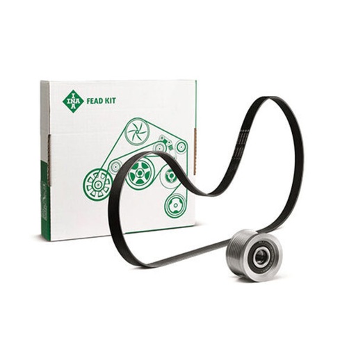 [FEAD529 4047 10] Kit multi V-riem (alternator 150A)