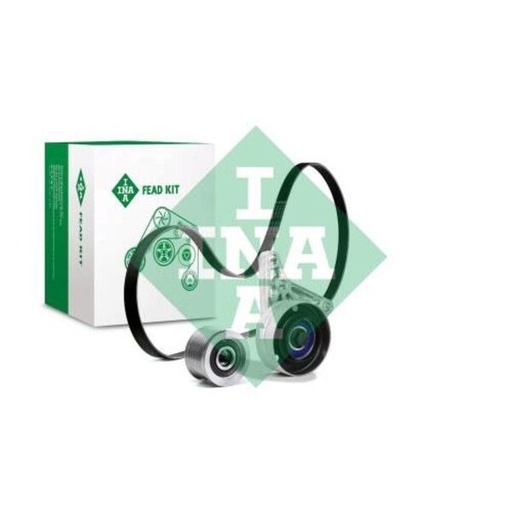 [FEAD529 4059 10] Kit multi V-riem (alternator 150A)