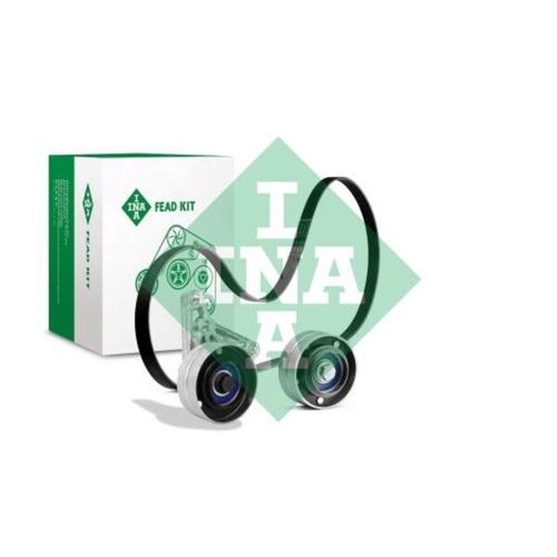 [FEAD529 4077 10] Kit multi V-riem