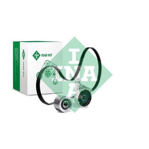 [FEAD529 4079 10] Kit multi V-riem