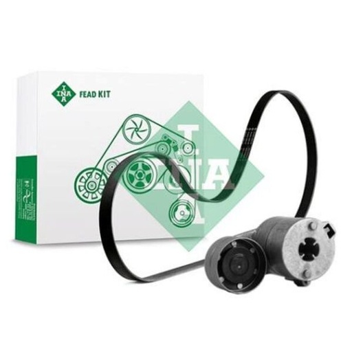 [FEAD529 4091 10] Kit multi V-riem