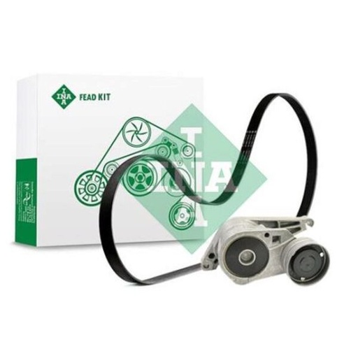 [FEAD529 4095 10] Kit multi V-riem