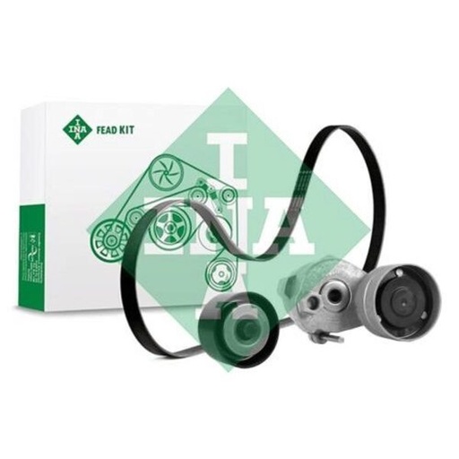 [FEAD529 4097 10] Kit multi V-riem