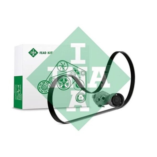 [FEAD529 4101 10] Kit multi V-riem