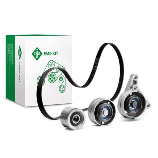 [FEAD529 4113 10] Kit multi V-riem