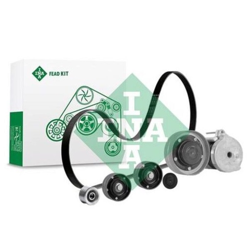[FEAD529 4114 10] Kit multi V-riem
