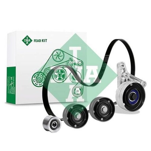 [FEAD529 4116 10] Kit multi V-riem