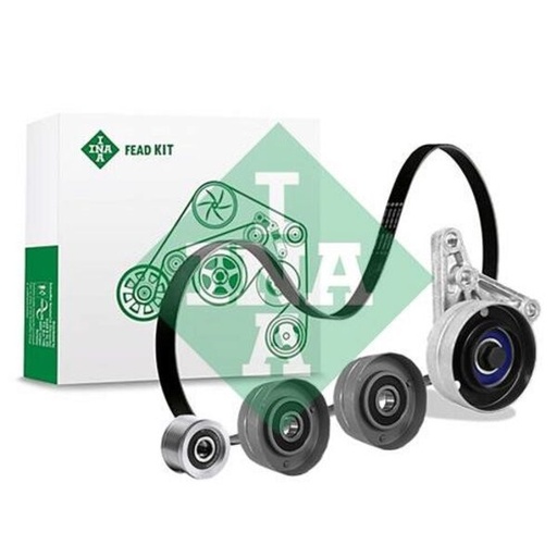[FEAD529 4117 10] Kit multi-courroie