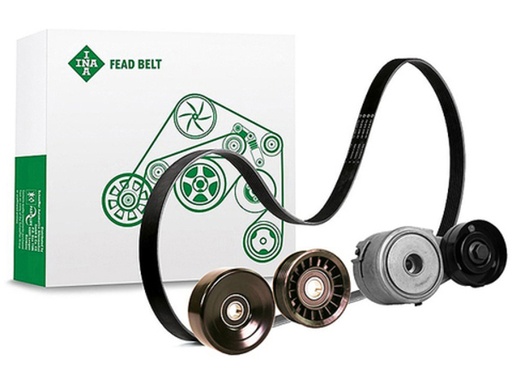[FEAD529 4129 10] Kit multi V-riem