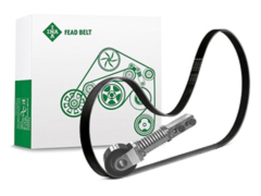 [FEAD529 4136 10] Kit multi V-riem