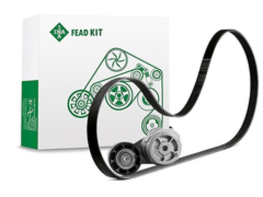 [FEAD529 4138 10] Kit multi V-riem