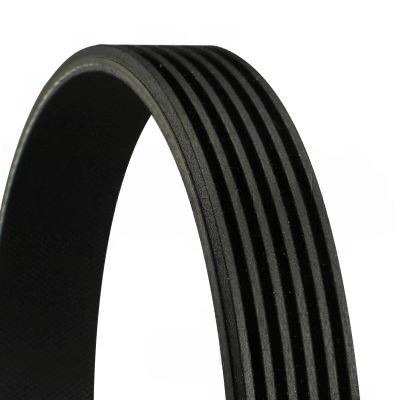 [CONT 6PK1725] Courroie striée - 6 gorges x 1725 mm